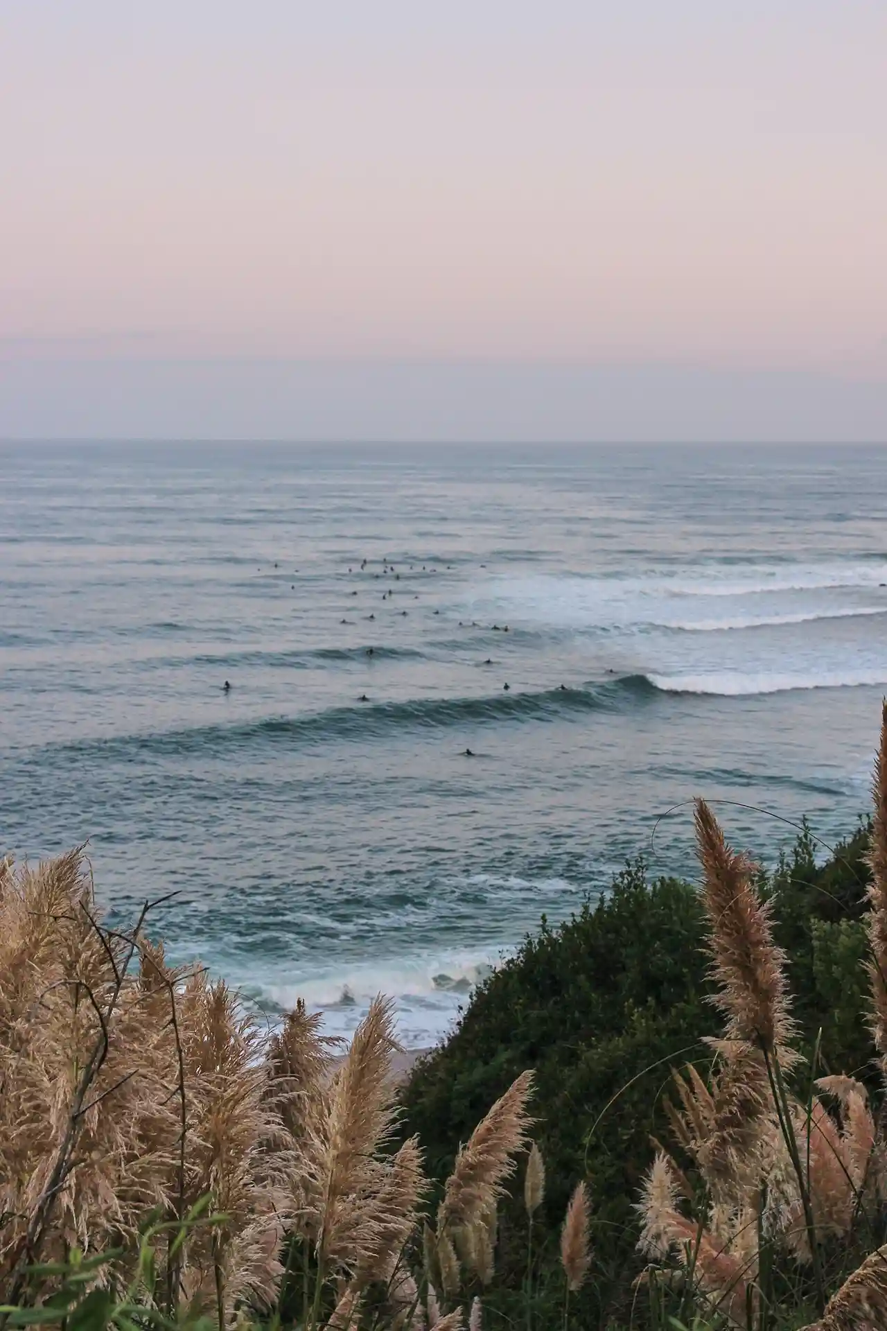 Paysage pays basque